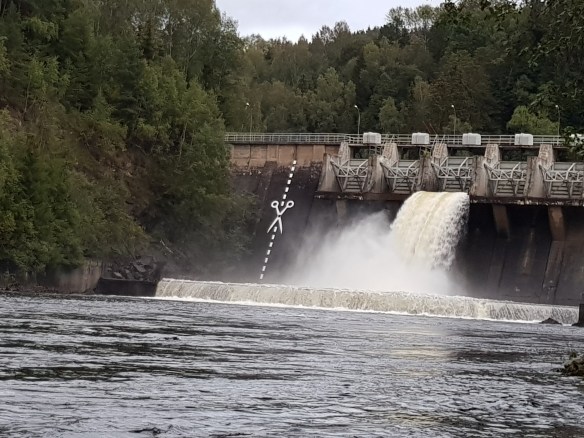 2019-09-06 Viuldemningen med Saks og overløp